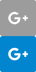Google +